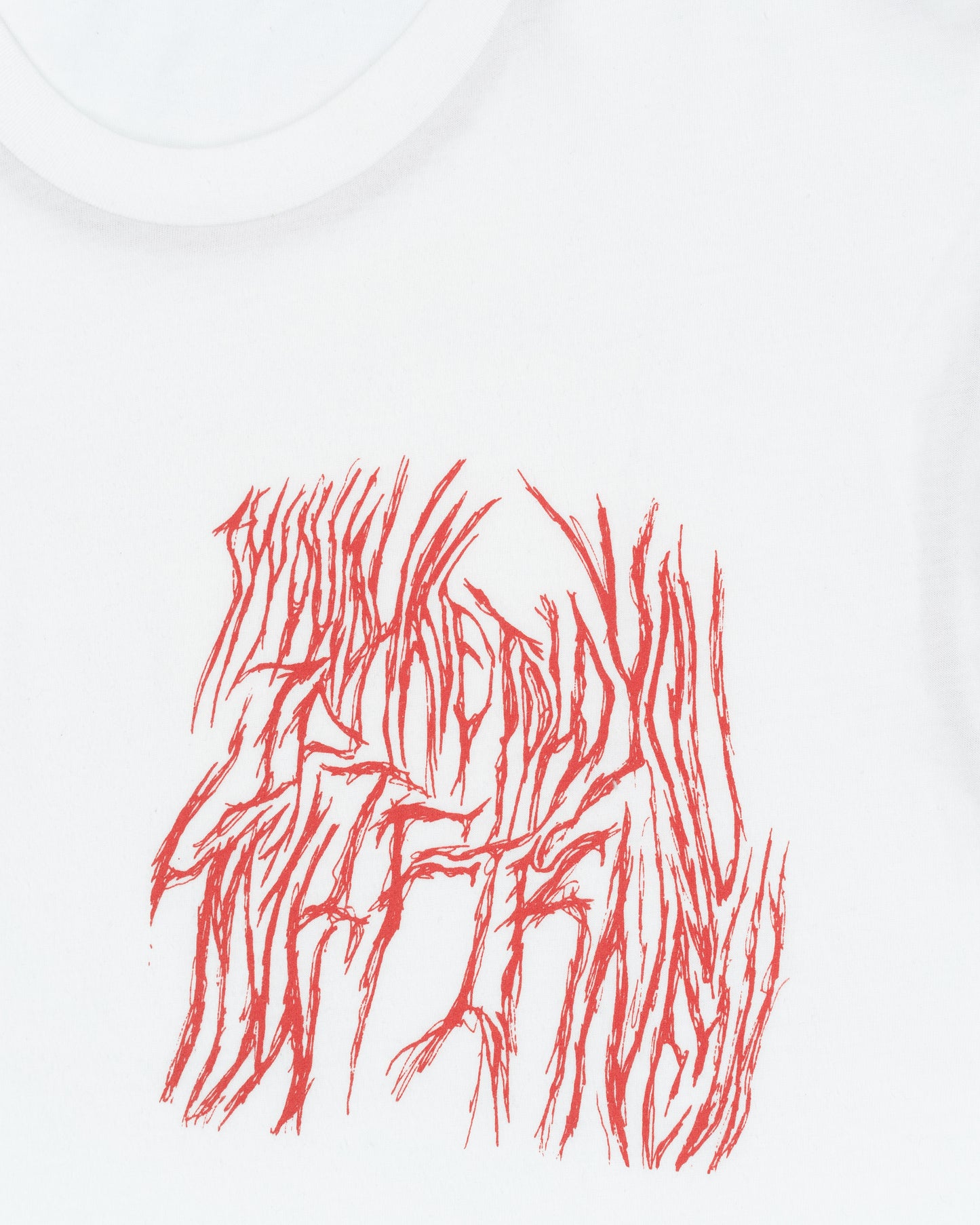 I Would Have Told You T-shirt
